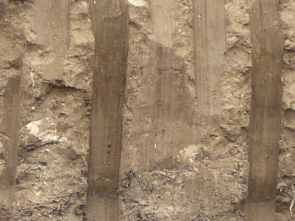 Texture of dark brown dirt wall with smooth vertical marks dug into it and an area of green and yellow grass at the top.